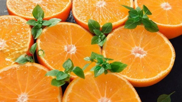تصویر 2 از قیمت پرتقال نافی جهرم با کیفیت ارزان + خرید عمده