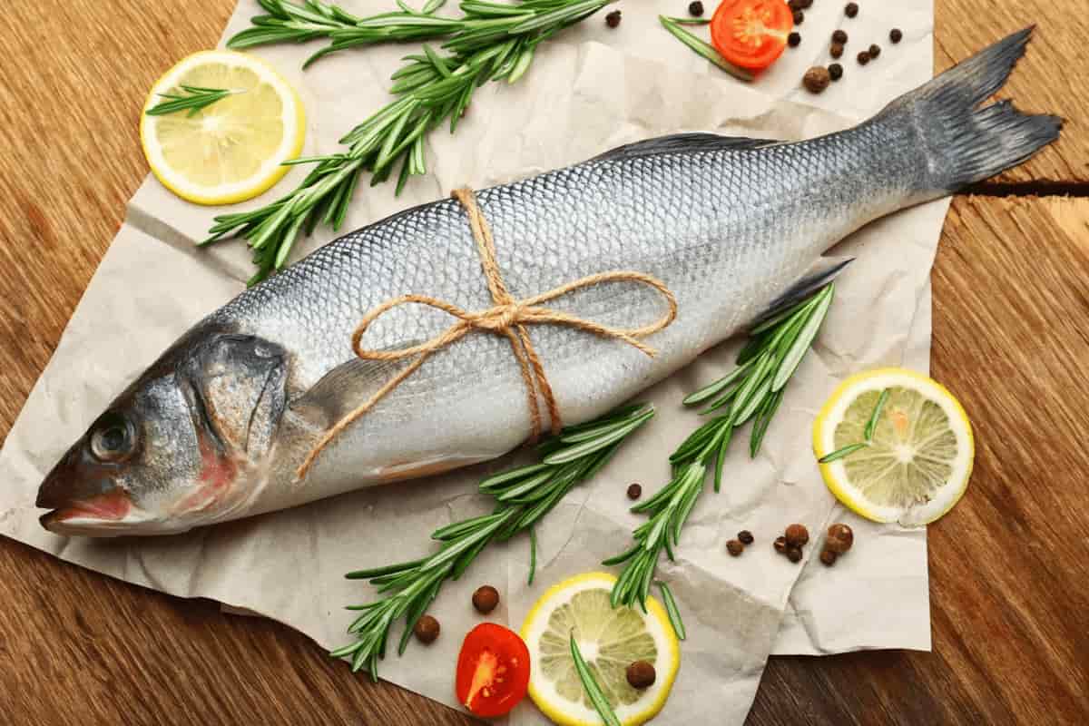 تصویر 1 از قیمت خرید ماهی شوریده پاکستانی با فروش عمده