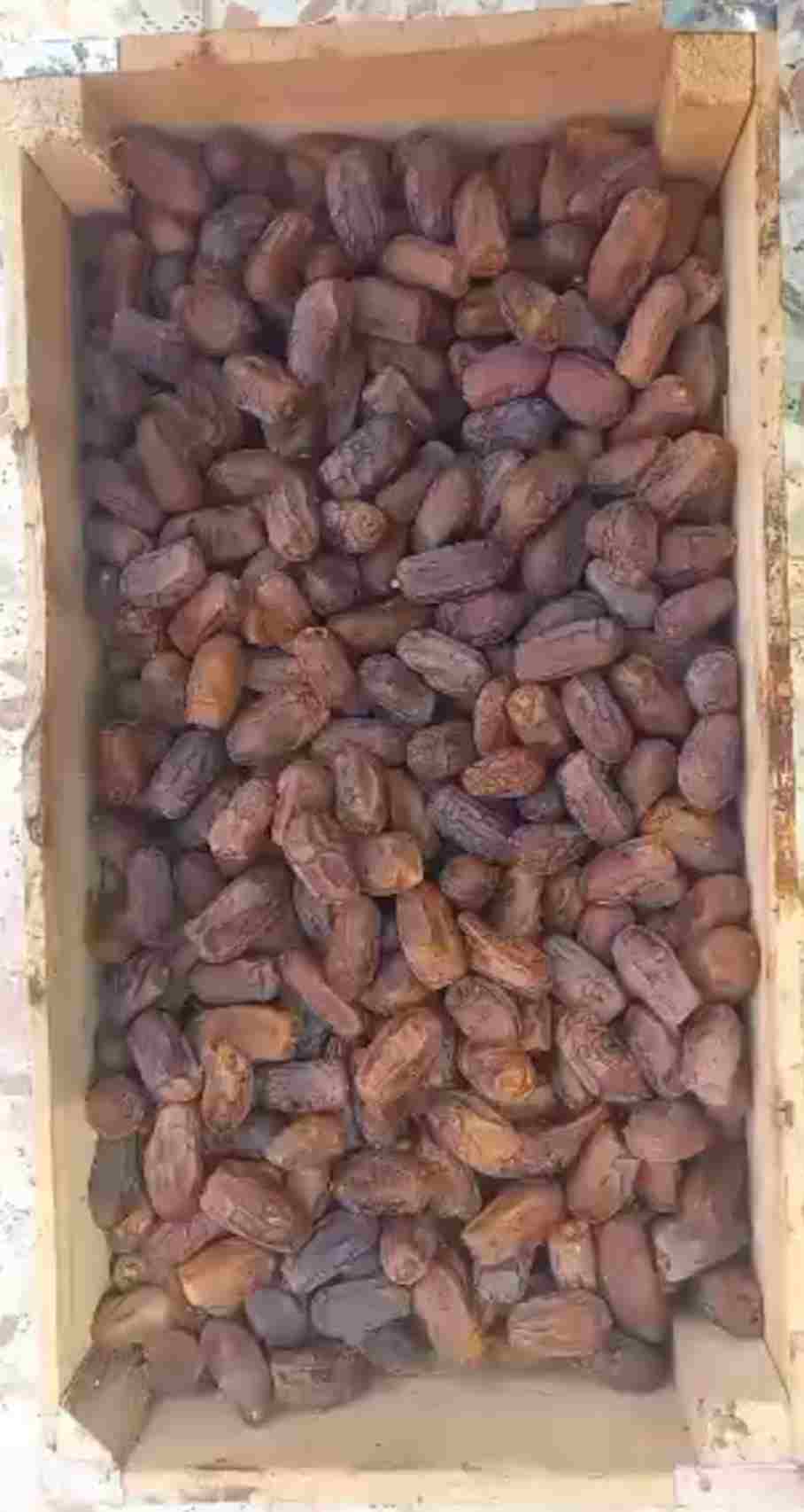 تصویر 1 از قیمت خرمای عمده استعمران + فروش فوق العاده