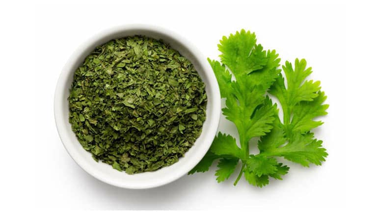تصویر 1 از گشنیز سبزی خشک شده + خریدی منصفانه