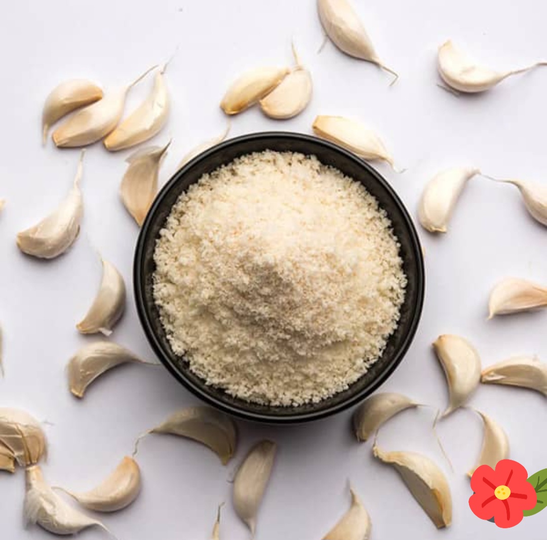 تصویر 2 از پودر سیر عمده و مرغوب