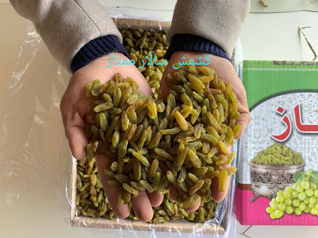 خرید کشمش سبز از کارخانه