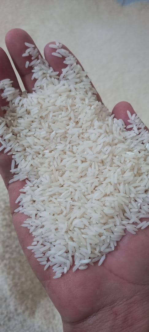 تصویر 3 از قیمت فروش برنج طارم هاشمی درجه یک
