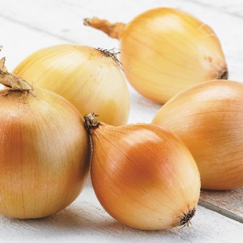 تصویر 3 از پیاز زرد طلایی + فروش ویژه