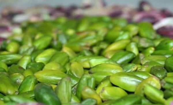 تصویر 3 از قیمت خلال پسته اقتصادی درشت + خرید باور نکردنی
