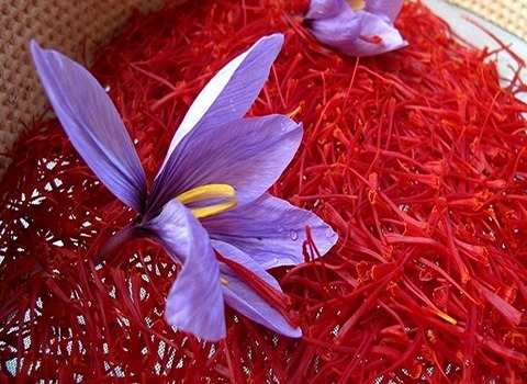 تصویر 1 از فروش زعفران سرقلم + قیمت خرید به صرفه