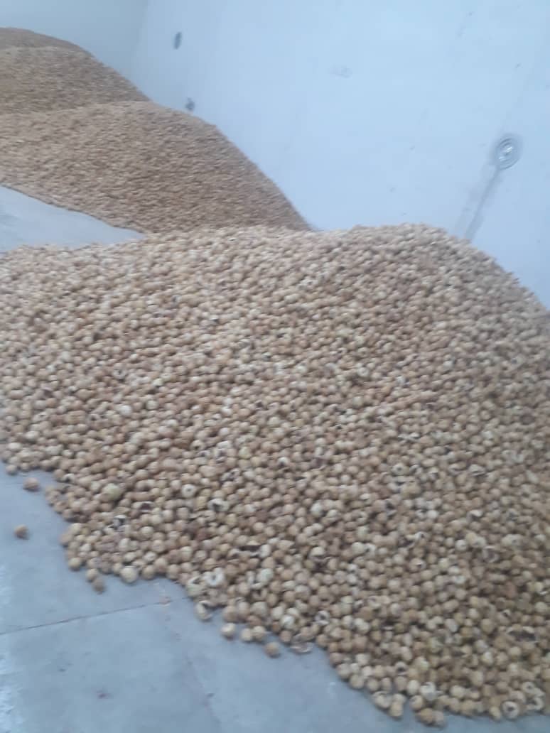 تصویر 2 از خرید انجیر خشک ممتازه استهبان