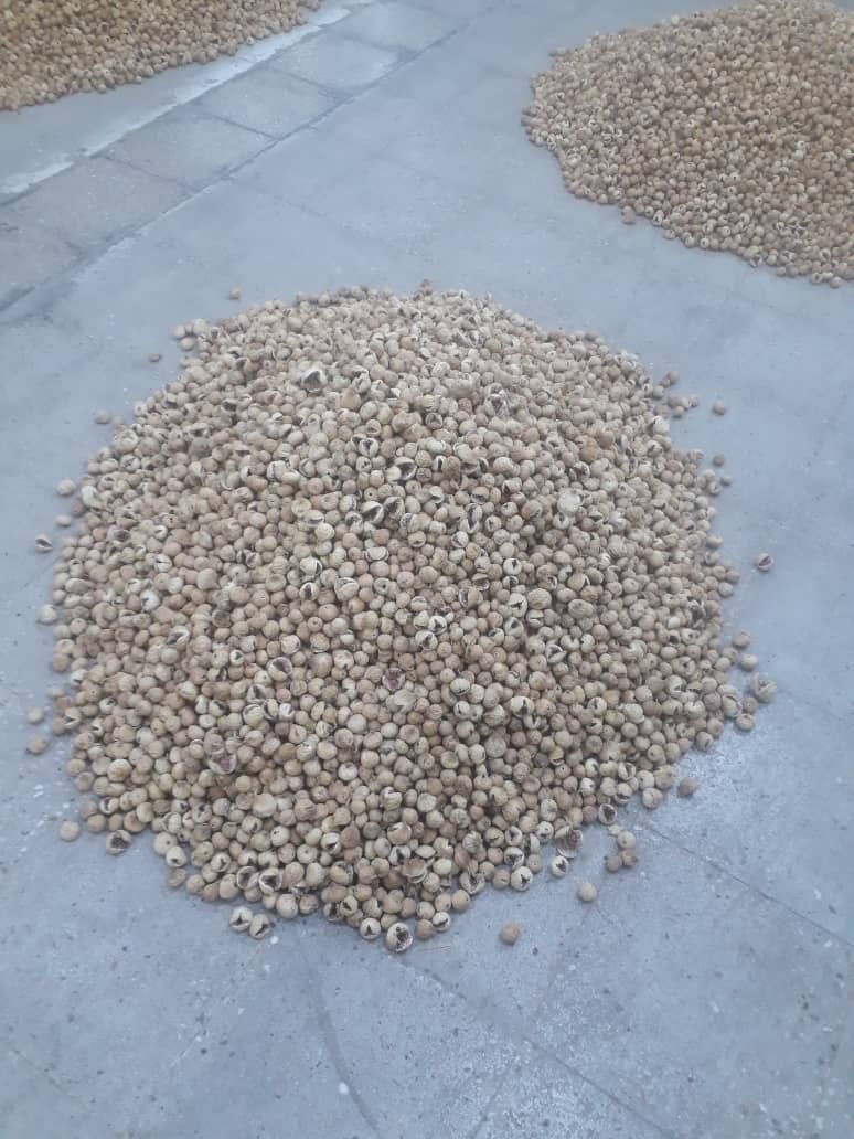 تصویر 1 از خرید انجیر خشک استهبان + با قیمتی عمده