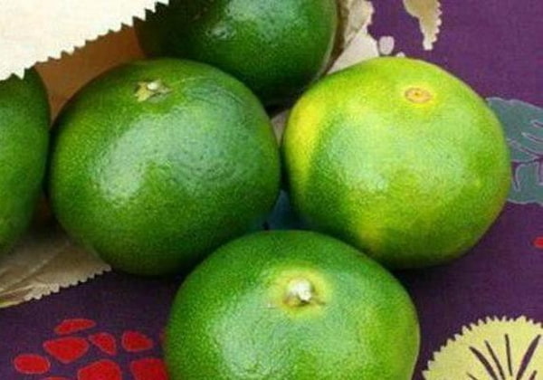 تصویر 5 از قیمت خرید نارنگی سبز نوبرانه شمال با فروش عمده