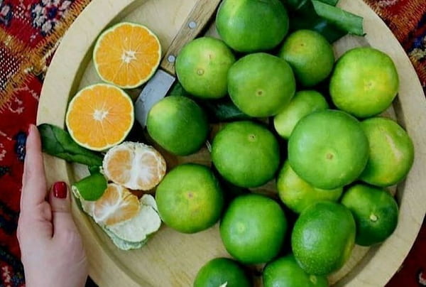 تصویر 4 از خرید و قیمت انواع نارنگی سبز اعلا