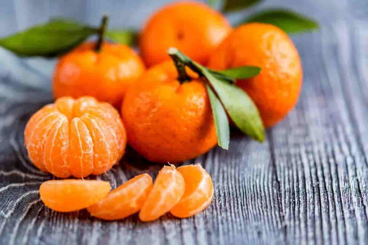 تصویر 4 از راهنمای خرید نارنگی ساتسوما اعلا + قیمت عالی