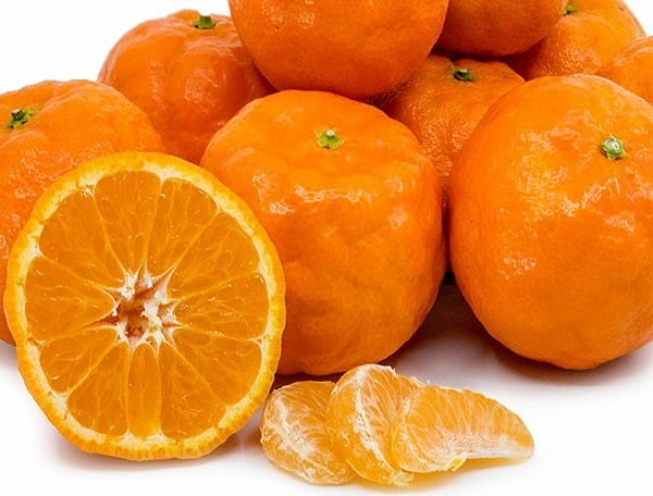 تصویر 3 از خرید نارنگی پیج شمال + قیمت عالی باکیفیت