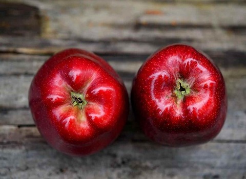 تصویر 2 از قیمت خرید سیب سرخ شیرین با فروش عمده