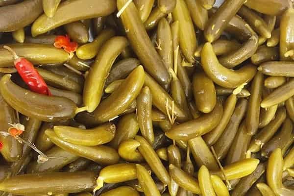 تصویر 3 از معرفی خیارشورحلبی + بهترین قیمت خرید