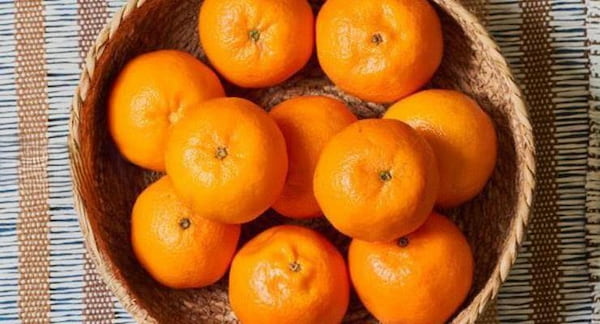 تصویر 3 از قیمت روز نارنگی قائمشهر اعلا