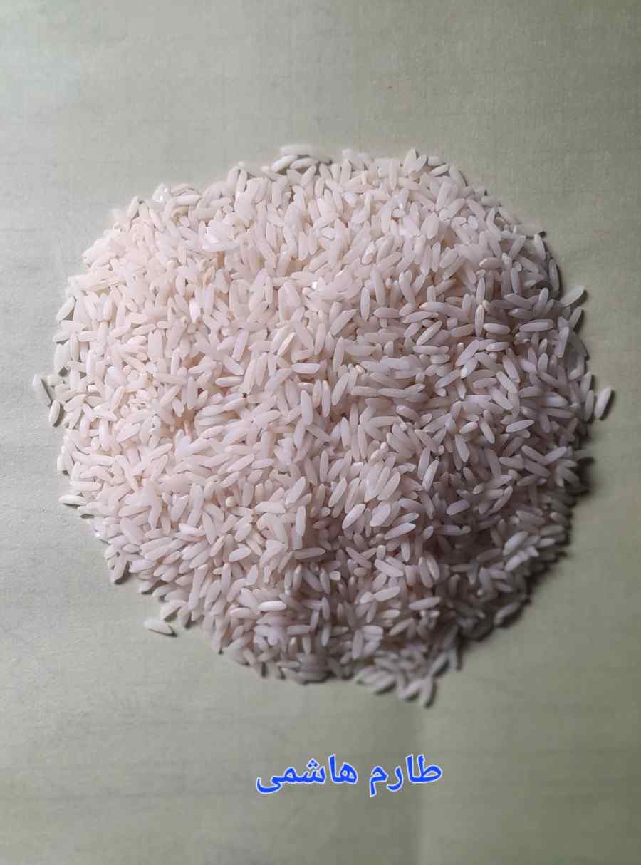 خرید برنج طارم هاشمی + خرید عمده برنج شمال
