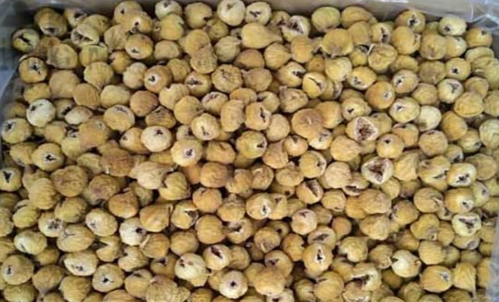 تصویر 4 از مرکز خرید و فروش انجیر خشک صادراتی + قیمت استثنایی