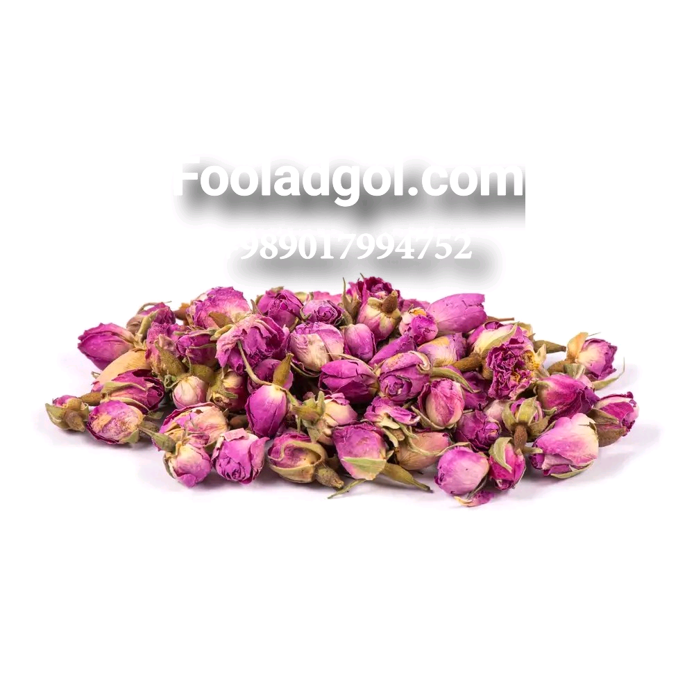 خرید ارزان عمده غنچه گل محمدی با شرکت فولاد گل