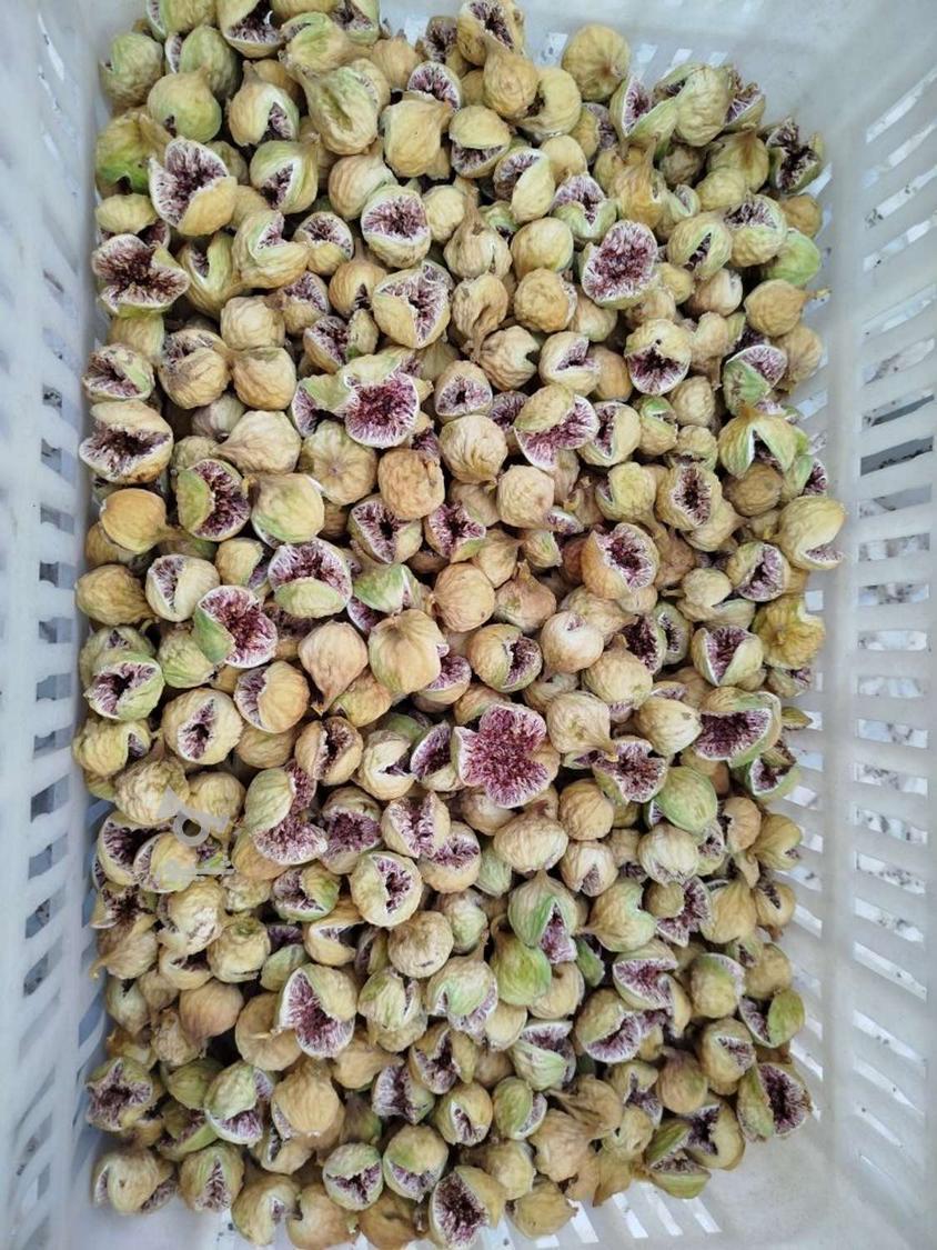 تصویر 1 از خرید انجیر خشک استهبان + قیمتی به صرفه