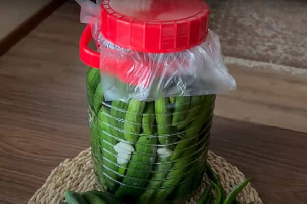 تصویر 3 از خرید و قیمت خیارشور فله بدون سبزی + فروش عمده