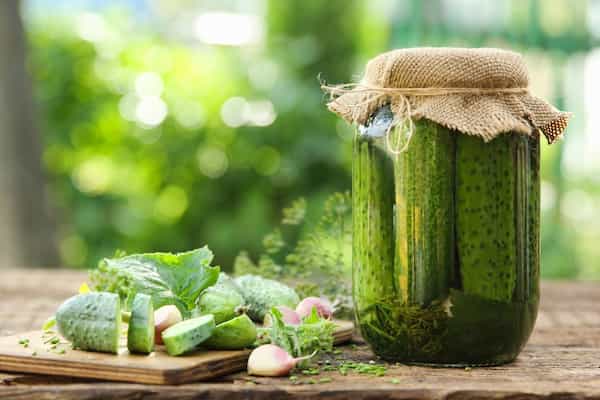 تصویر 4 از خرید و قیمت خیارشور فله بدون سبزی + فروش عمده