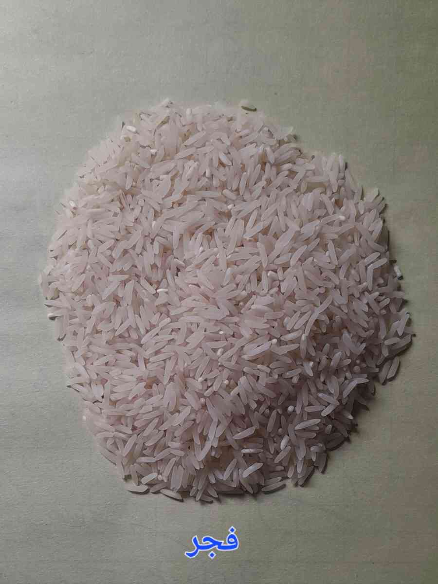 تصویر 1 از فروش عمده برنج + خرید برنج فجر