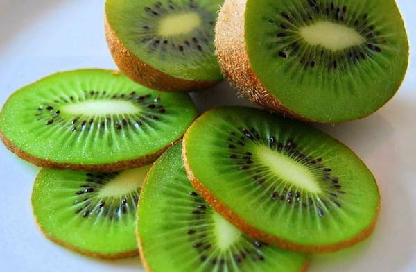 تصویر 2 از خرید و قیمت کیوی میوه استوایی + فروش عمده