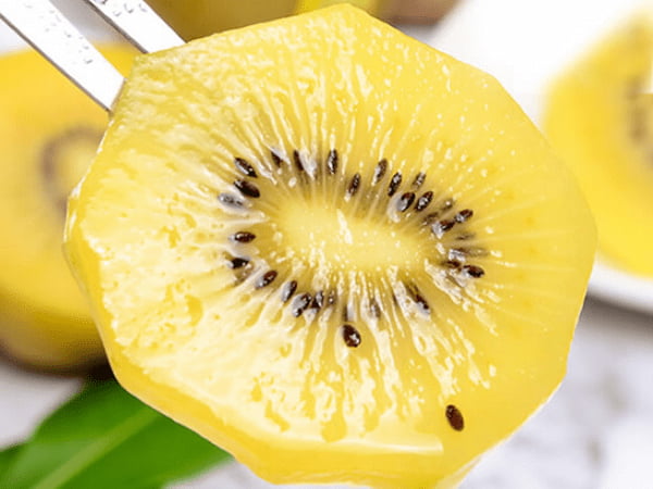 قیمت کیوی تو زرد درجه یک + خرید باور نکردنی