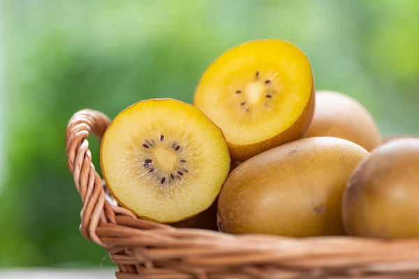 تصویر 5 از قیمت خرید کیوی طلایی اعلا + فروش ویژه