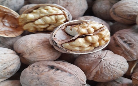 تصویر 1 از قیمت گردو با پوست کاغذی سبز + عمده
