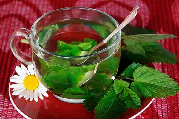 تصویر 2 از عرق نعنا سنگین + قیمت رقابتی