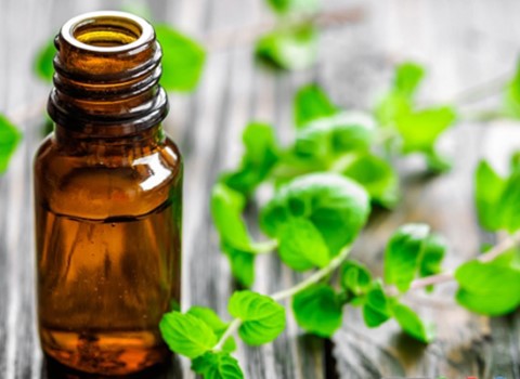 تصویر 3 از عرق نعنا سنگین + قیمت رقابتی