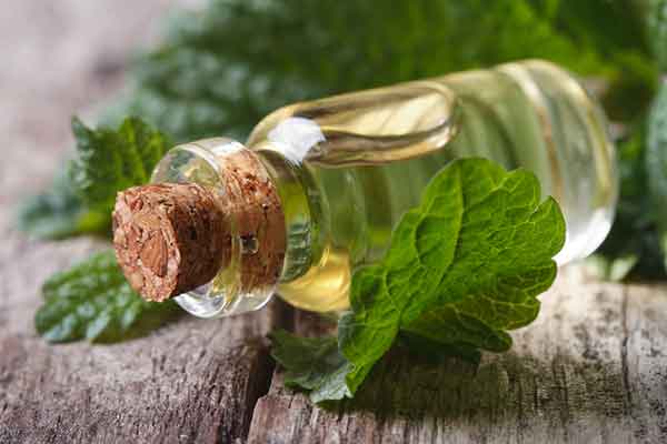 تصویر 5 از عرق نعنا اعلا مقوی + قیمت عالی و ارزان