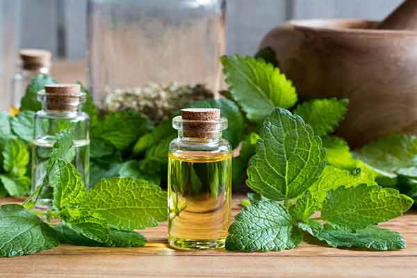 تصویر 4 از عرق نعنای اعلامقوی + صادرات