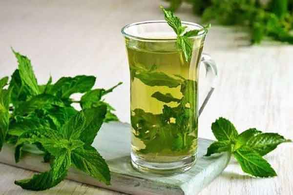 تصویر 3 از عرق نعنای اعلامقوی + صادرات