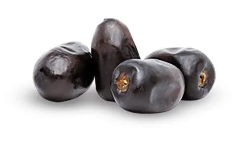خرما مضافتی صادارت جیرفت + خرید
