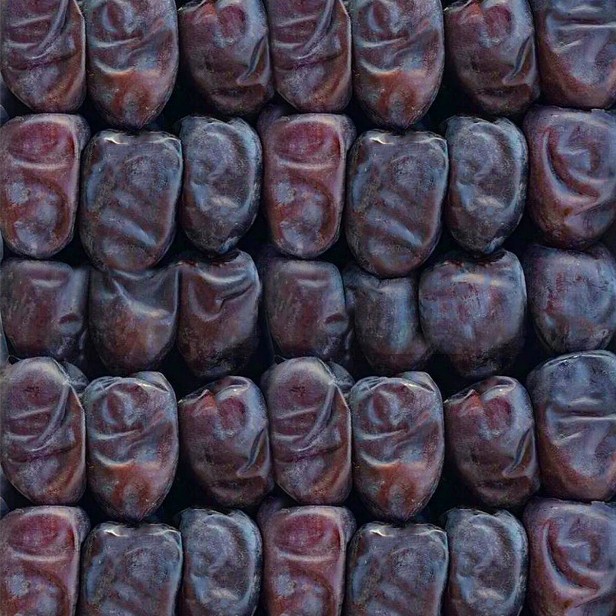 تصویر 3 از خرید عمده خرما مضافتی لوکس + قیمت تکرار نشدنی