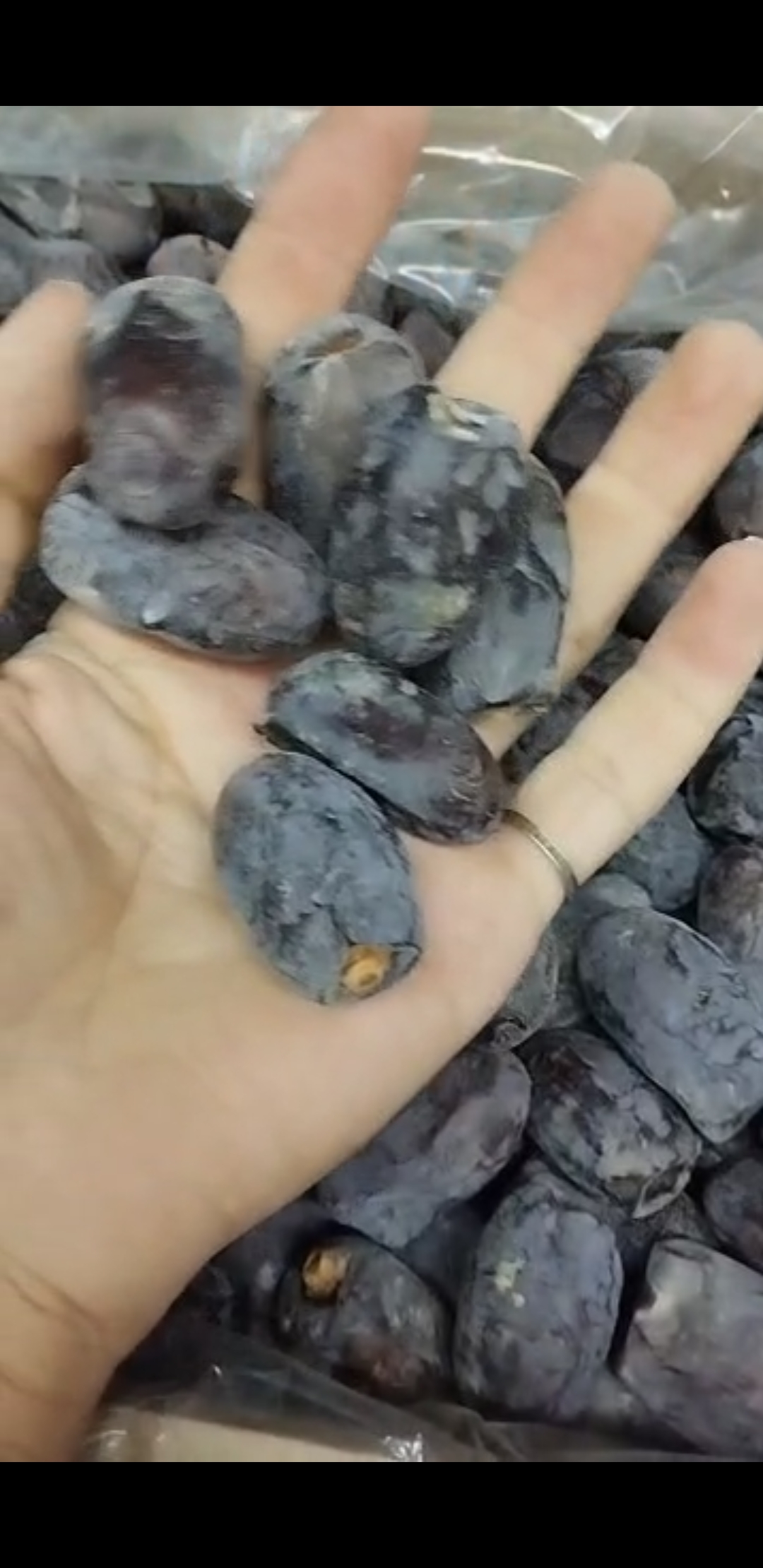 خرما کلوته مجلسی طعم ملس و خوش رنگ