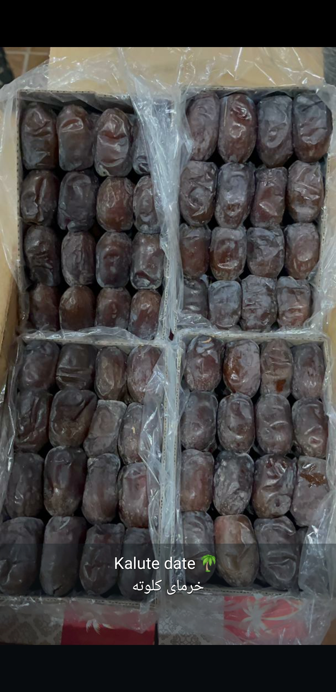 خرما کلوته مضافتی عطر طبیعی و پر انرژی
