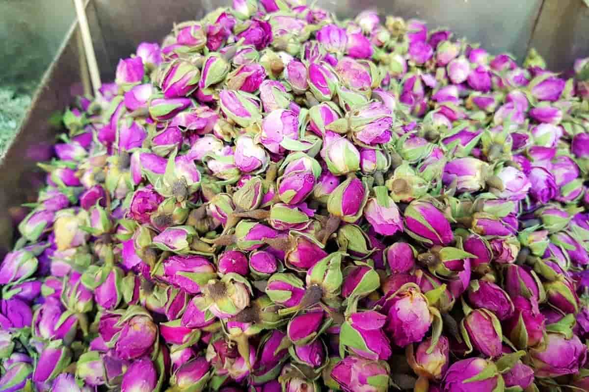 تصویر 1 از فروش غنچه گل محمدی خشک فله
