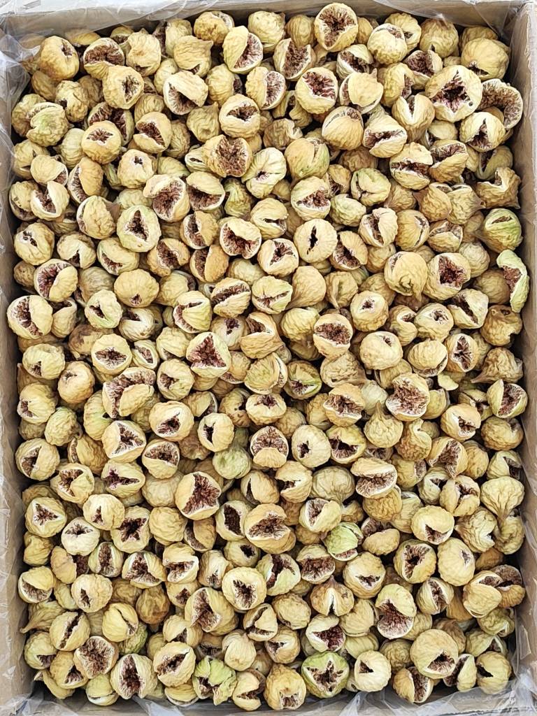 تصویر 3 از انجیر خشک استهبان + خرید مستقیم از باغ دار