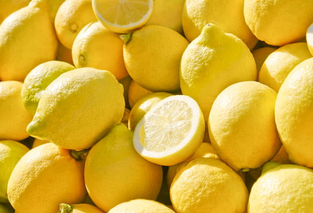 تصویر 1 از قیمت روز لیمو ترش پیوندی پایه لیمو