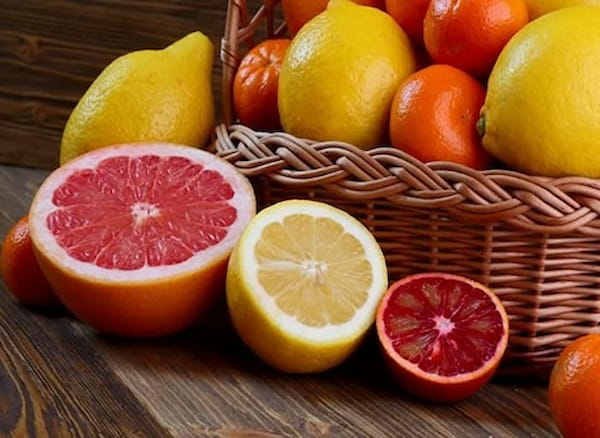 تصویر 1 از خرید و قیمت انواع لیمو ترش قرمز پیوندی