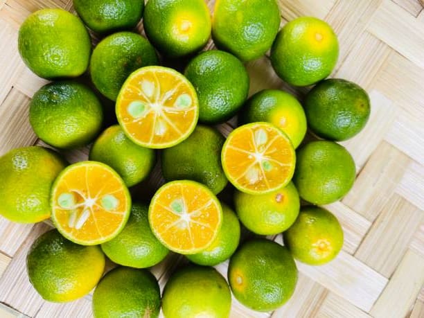 تصویر 4 از راهنمای خرید لیمو ترش لایم کوات چهارفصل + قیمت عالی