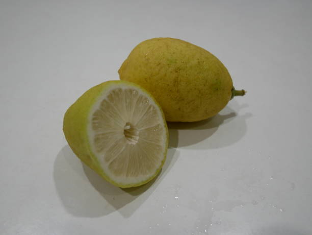 تصویر 5 از خرید لیمو ترش چهارفصل پاکوتاه + قیمت عالی باکیفیت