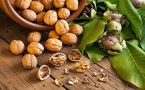 تصویر 1 از قیمت گردوی کاغذی با پوست سبز + فروش عمده