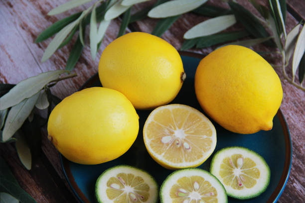 تصویر 1 از قیمت خرید لیمو ترش جنوب با فروش عمده