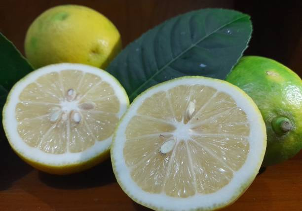 تصویر 2 از قیمت خرید لیمو ترش جنوب با فروش عمده