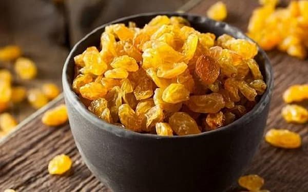 تصویر 1 از فروش عمده کشمس طلایی بناب + قیمت ۱۴۰۴