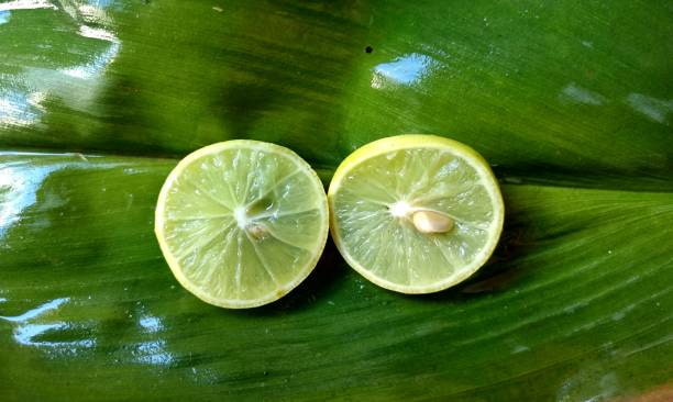 تصویر 2 از راهنمای خرید لیمو شیرین تازه جهرم + قیمت عالی